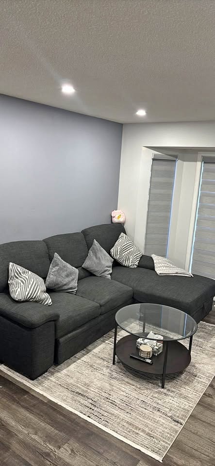 Gray Sectional Sofa Bed - Moving Sale