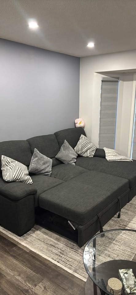 Gray Sectional Sofa Bed - Moving Sale - photo 4