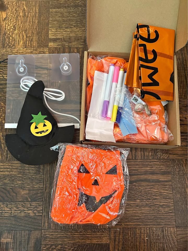 Goose Outfit for Halloween