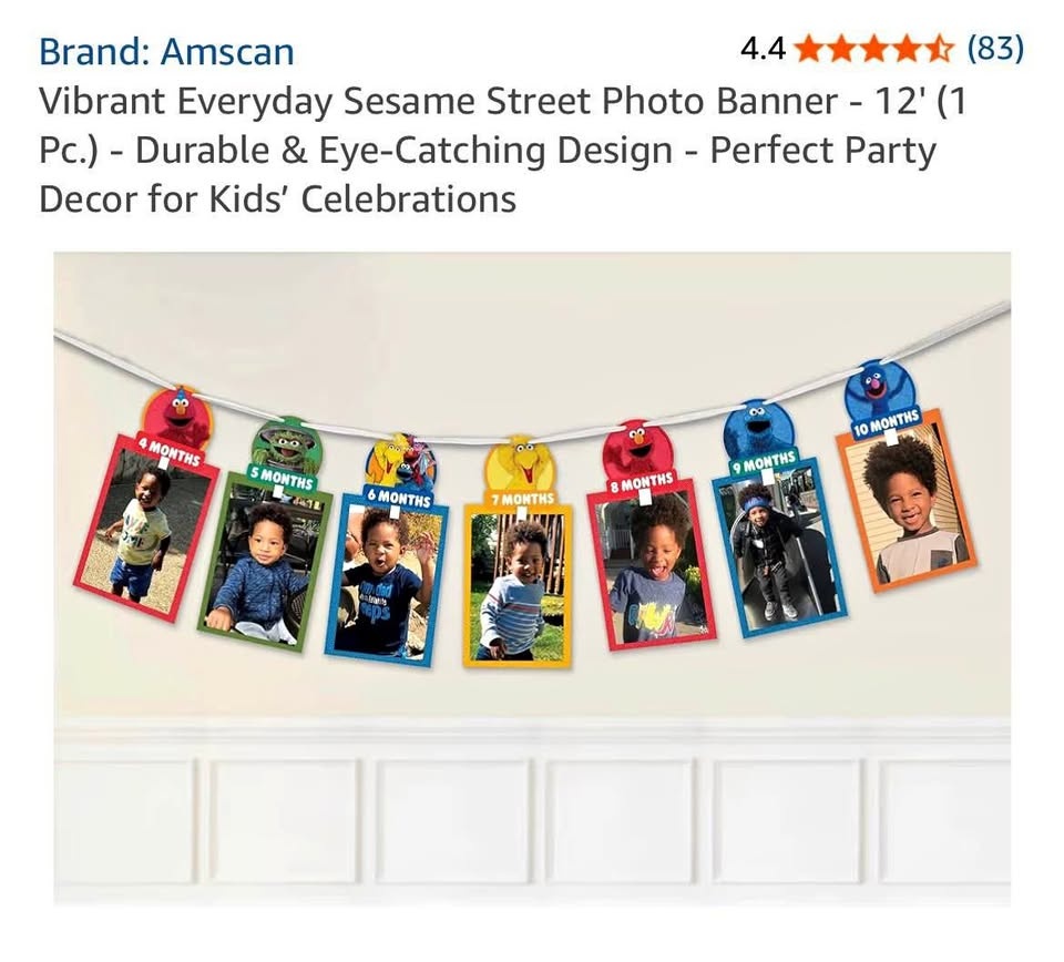 Sesame Street Photo Banner