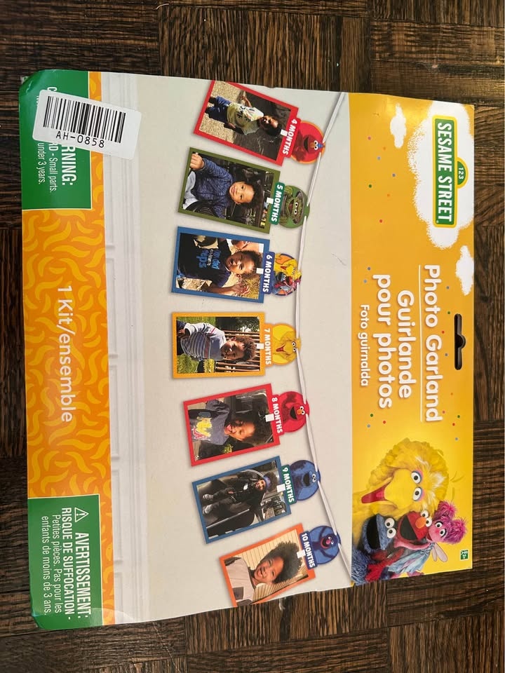 Sesame Street Photo Banner - photo 2