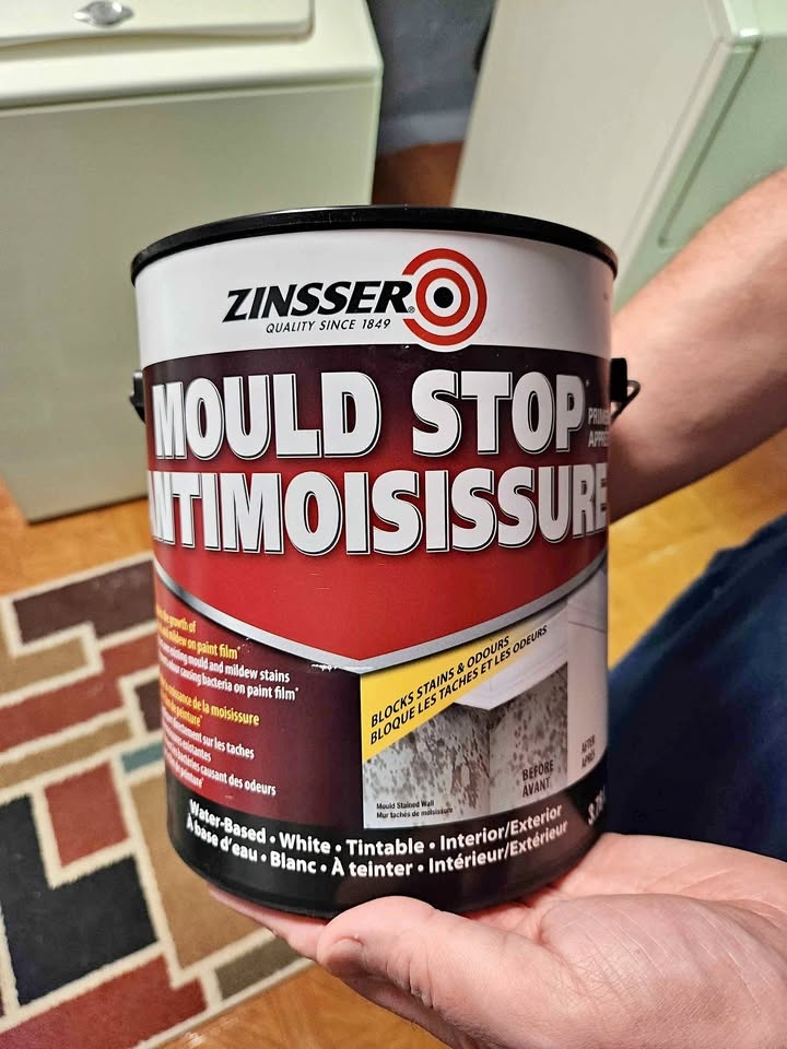 Zinsser Mold Paint Primer - Tinted Battleship Gray