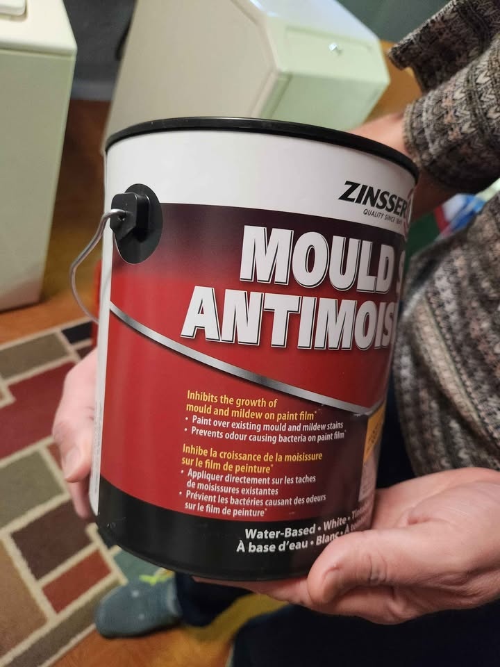 Zinsser Mold Paint Primer - Tinted Battleship Gray - photo 2