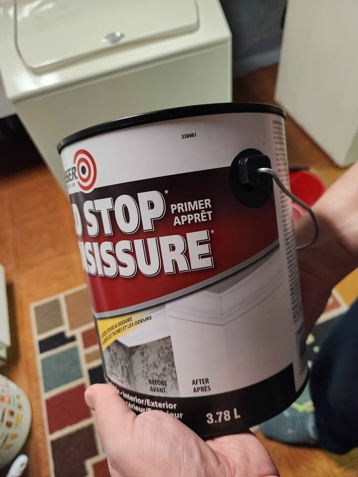 Zinsser Mold Paint Primer - Tinted Battleship Gray - photo 3