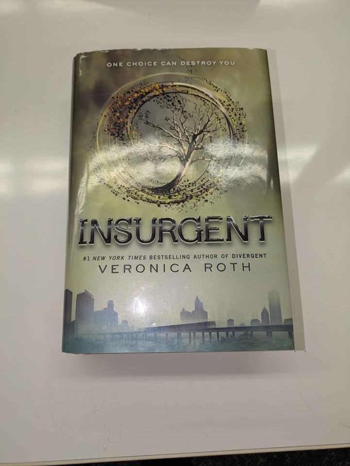 Divergent Book Series Box Set (Hardcover) - photo 4