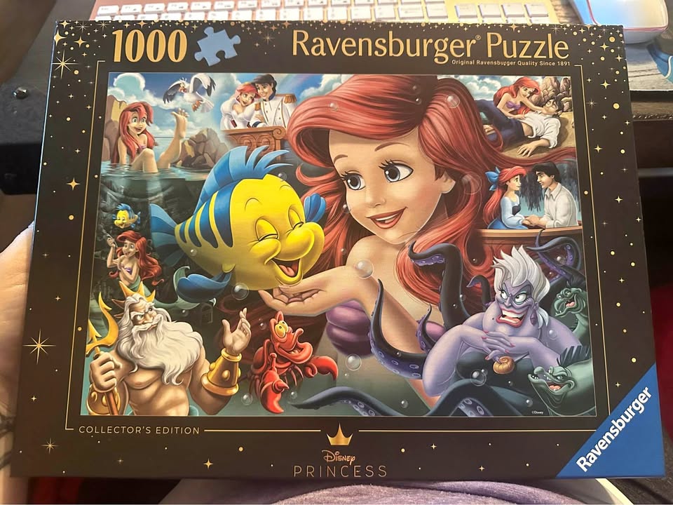 Little Mermaid Puzzle