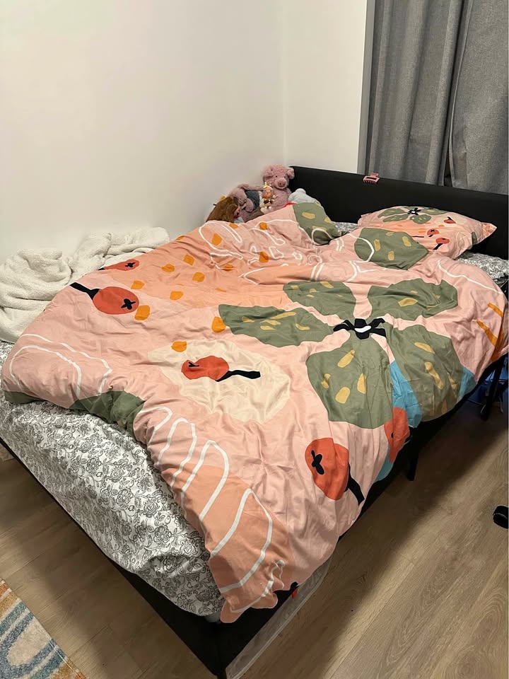Queen Size Mattress