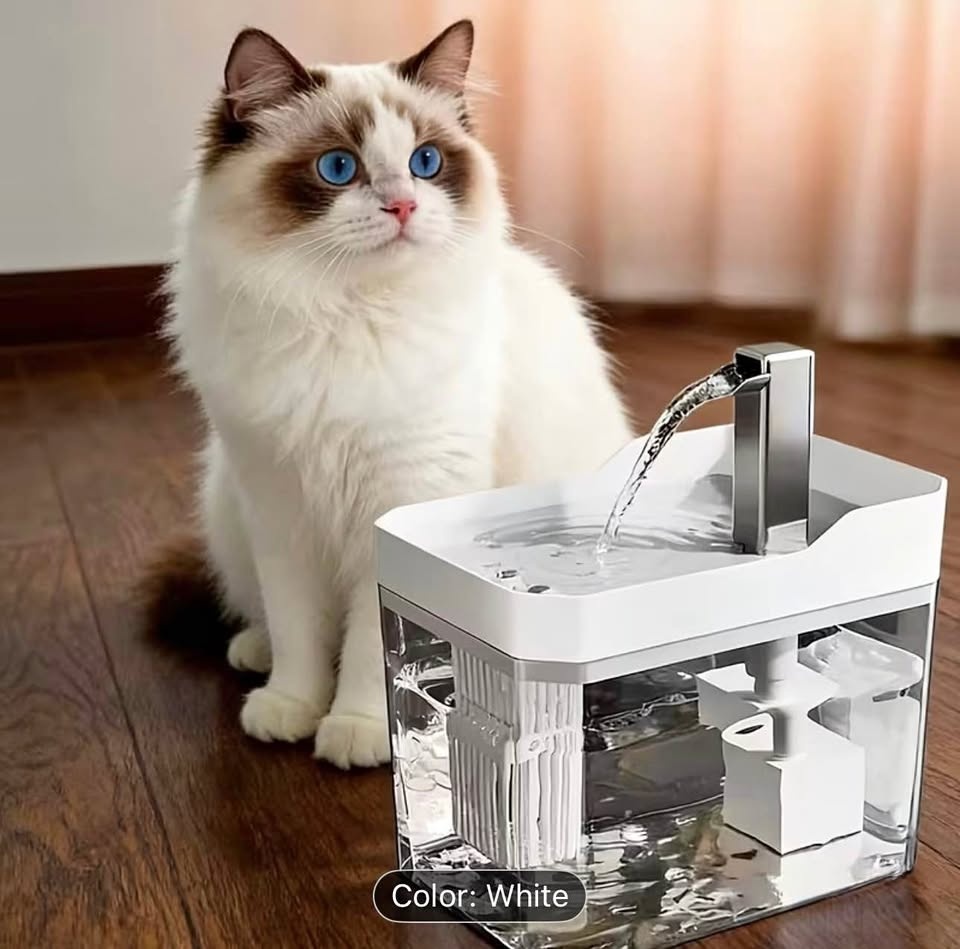 Automatic Pet Water Dispenser - 1.5L