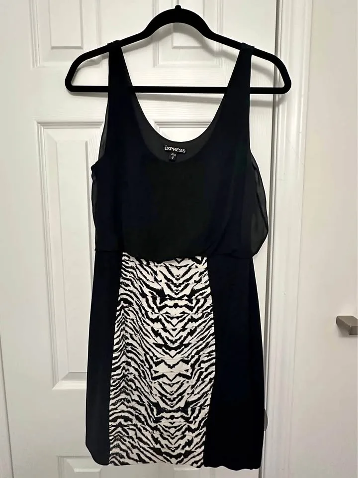 Zebra Dress thumbnail