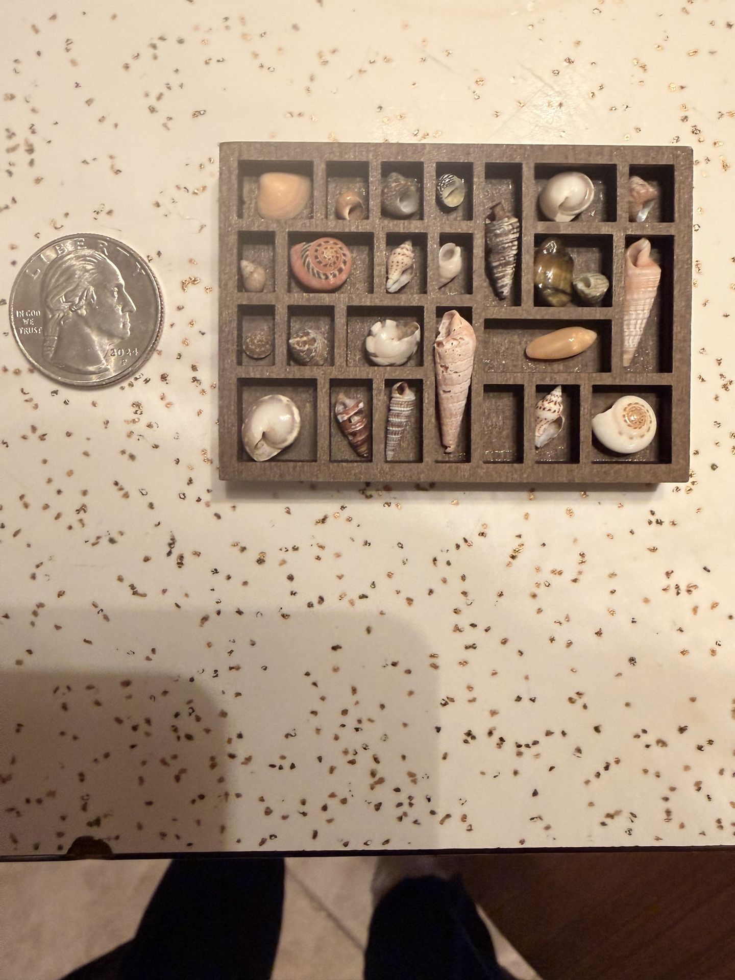 Miniature Wooden Trinket Shelf with Real Shells