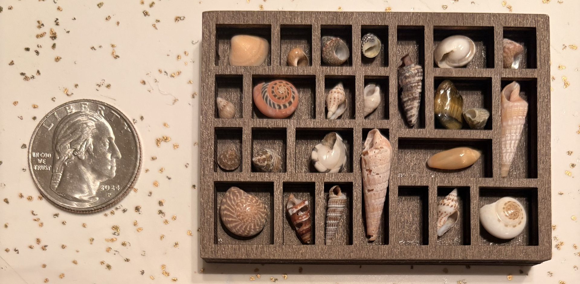 Miniature Wooden Trinket Shelf with Real Shells - photo 4