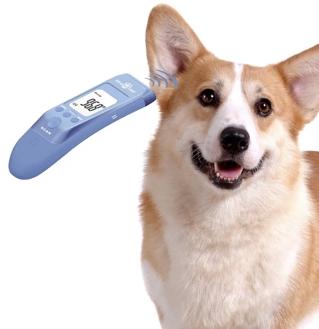 NEW Non-Contact Pet Thermometer - Fast, 3 Modes