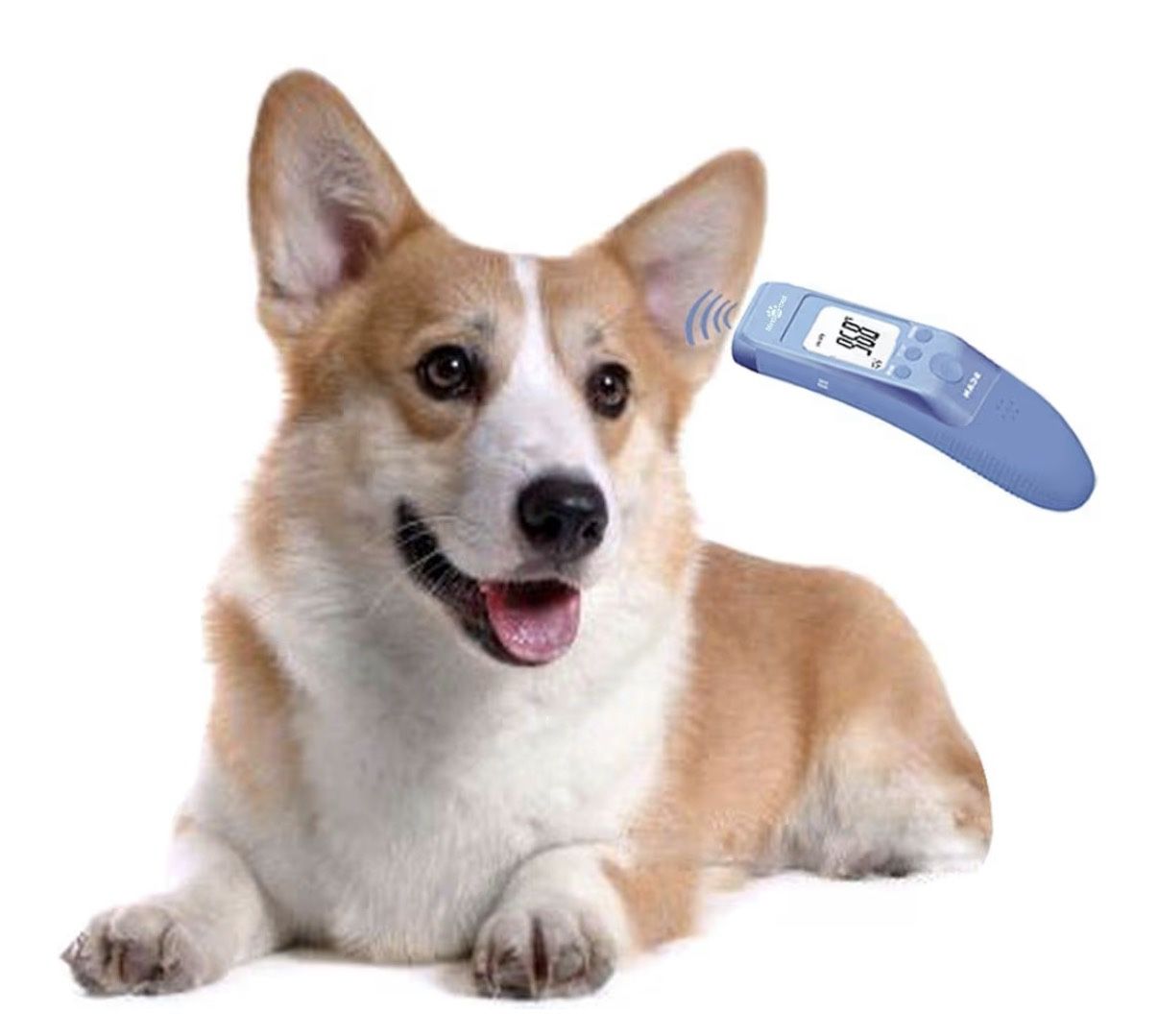 NEW Non-Contact Pet Thermometer - Fast, 3 Modes - photo 5