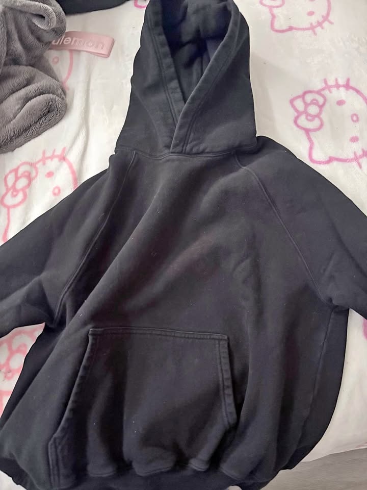 Aritzia Hoodie Mega Fit
