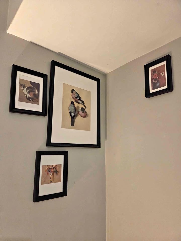 Picture frames