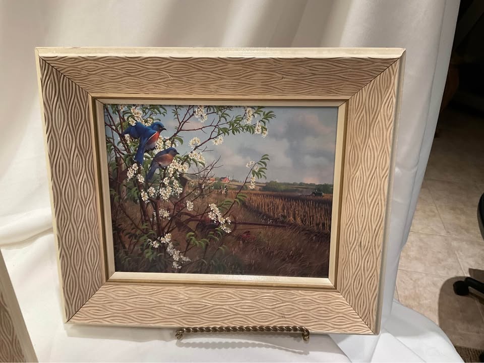 Prints Vintage Set of 4 Botanical Framed Art - photo 2