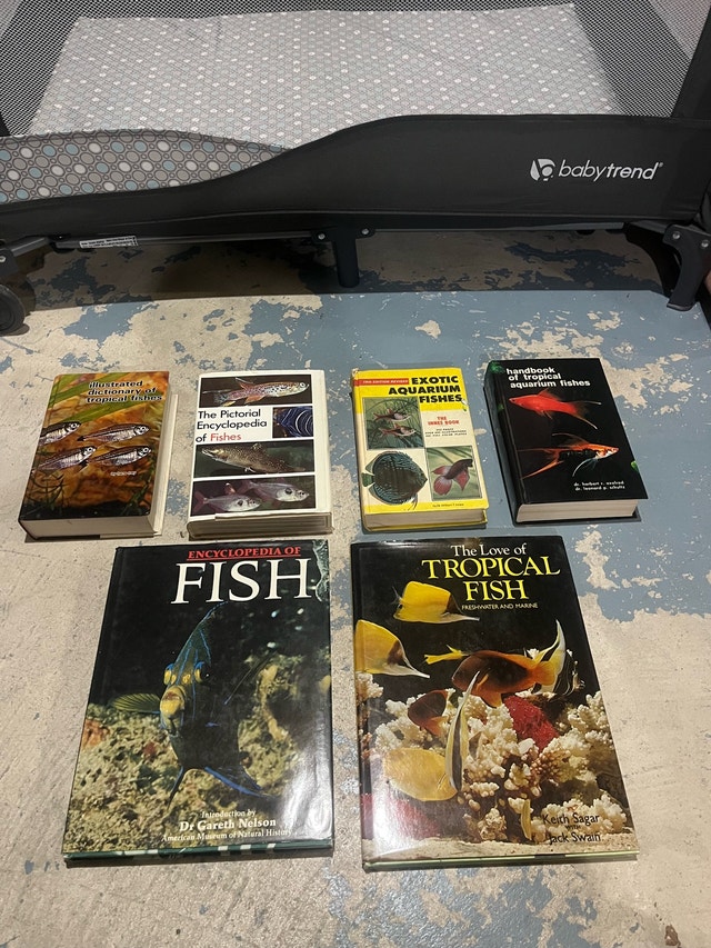 $10 Aquarium Accessories - photo 2