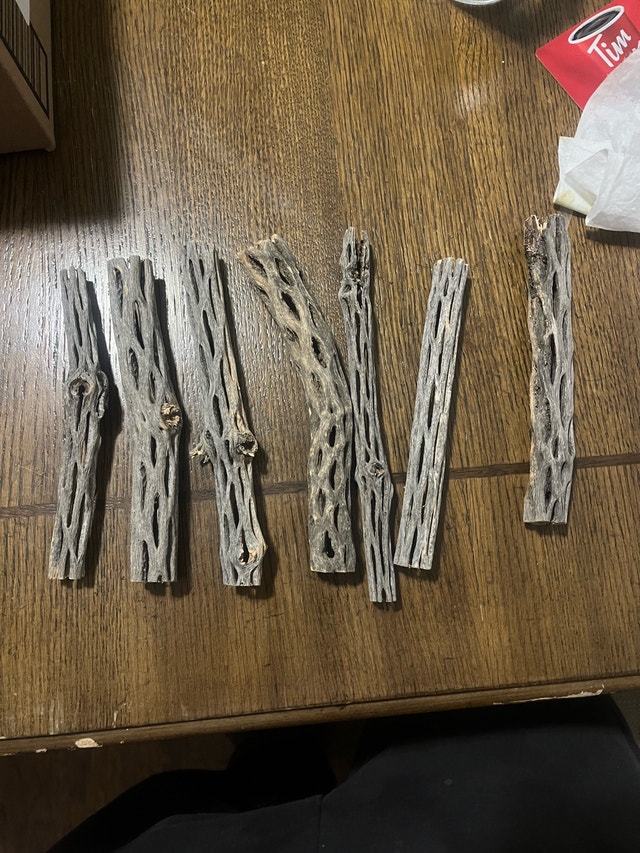Cholla Wood