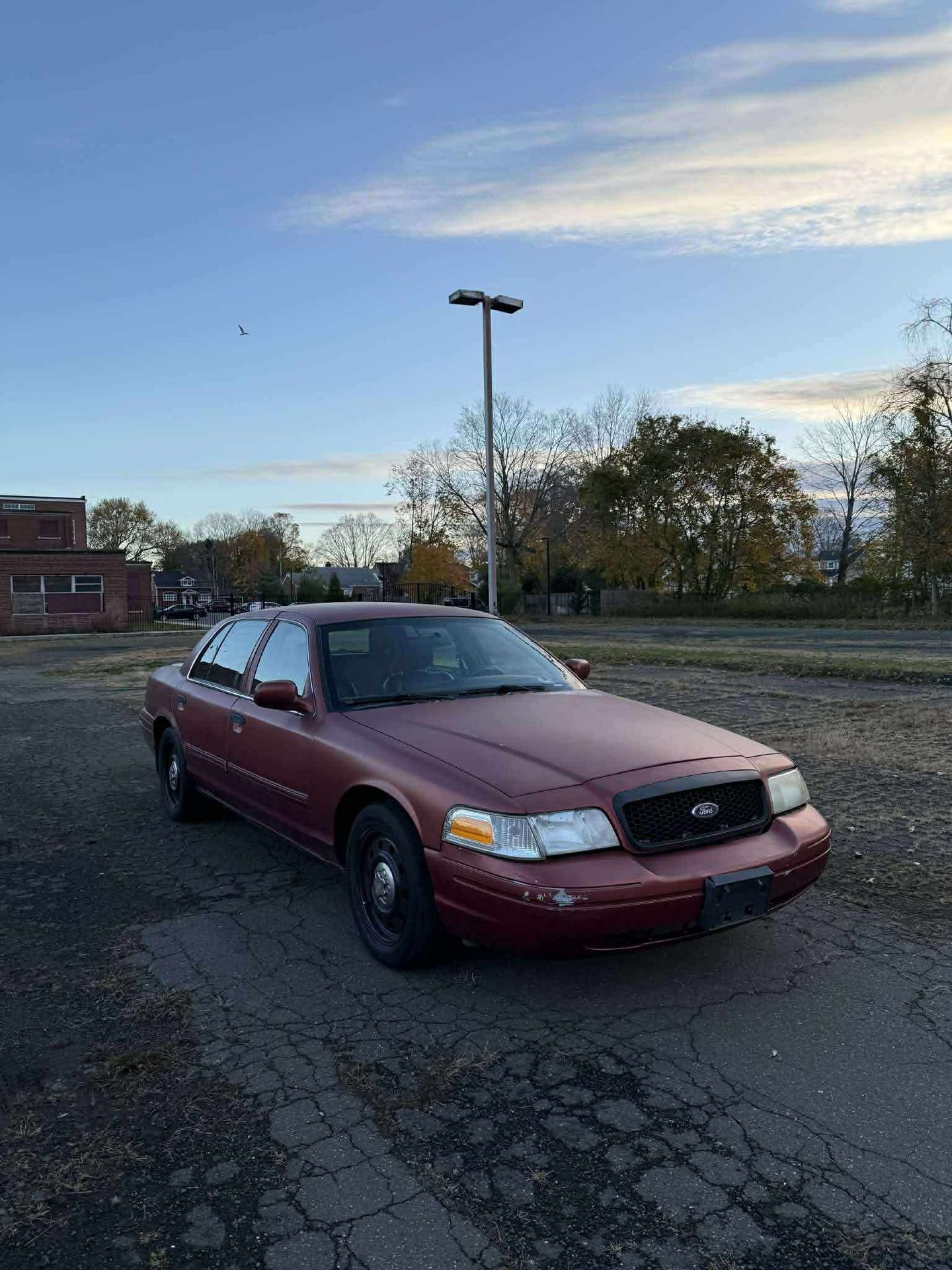 2009 Ford Crown Victoria