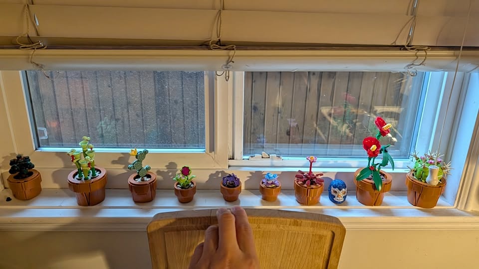 LEGO Botanical Collection Tiny Pots Complete w/ Book