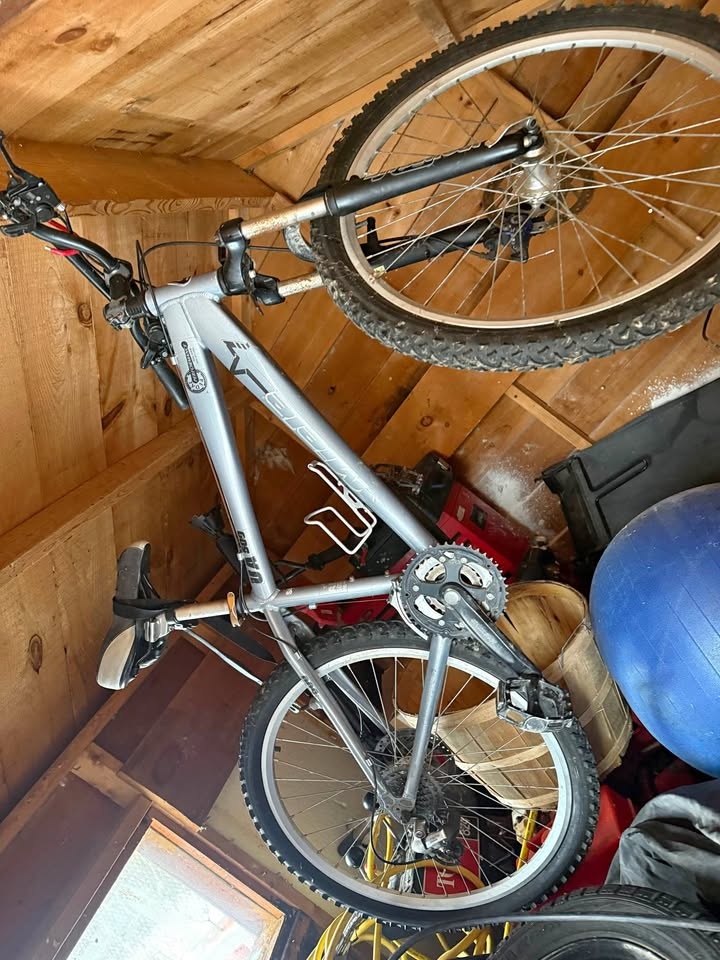 Trek Marlin 5 Mountain Bike