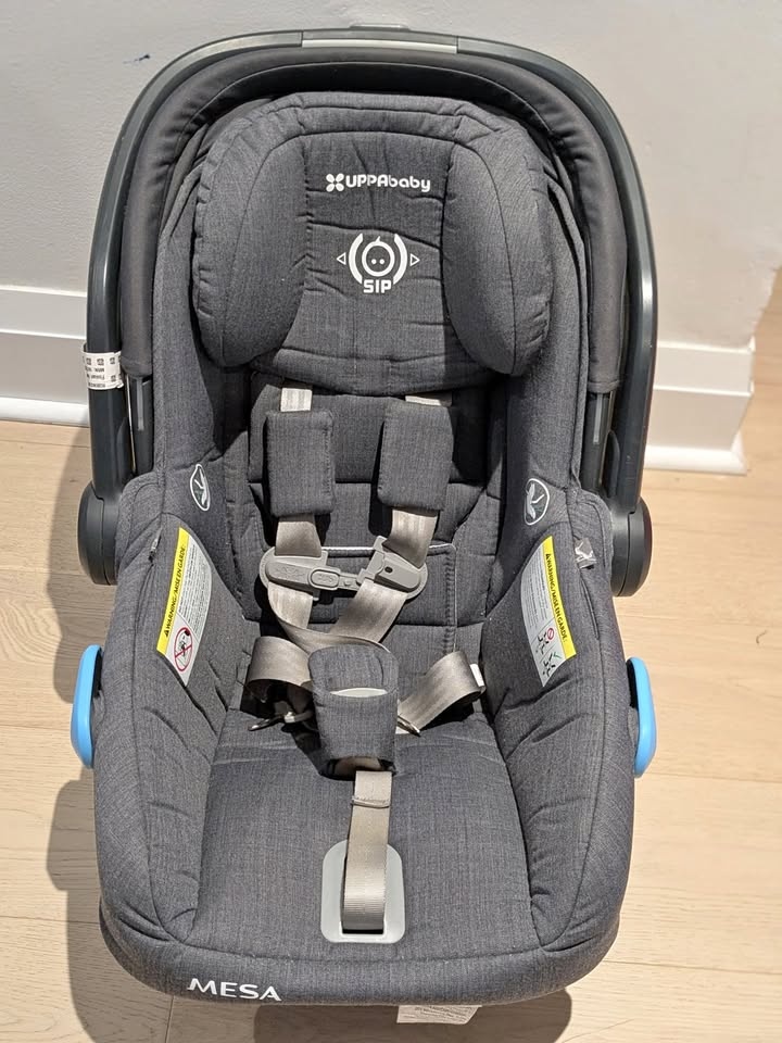 UPPAbaby MESA car seat