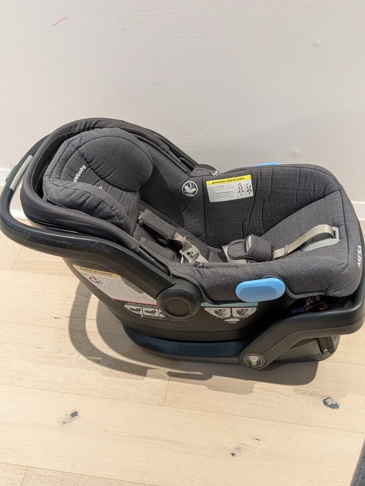 UPPAbaby MESA car seat - photo 2