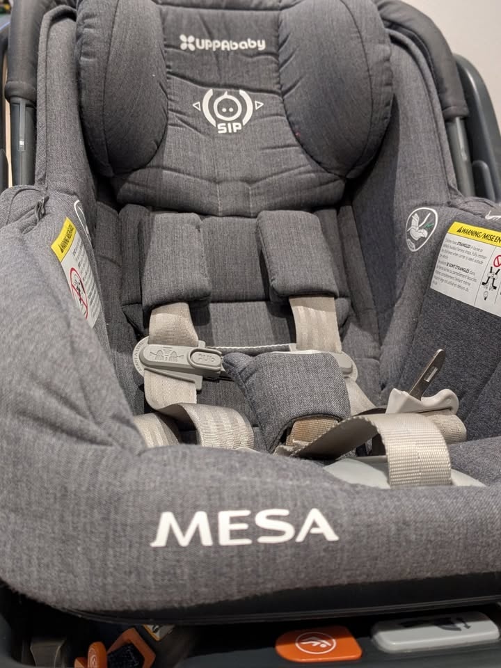 UPPAbaby MESA car seat - photo 5