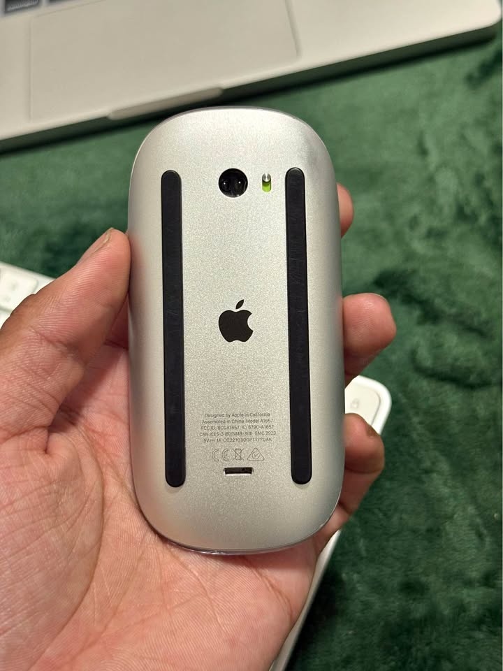 Apple Magic Mouse