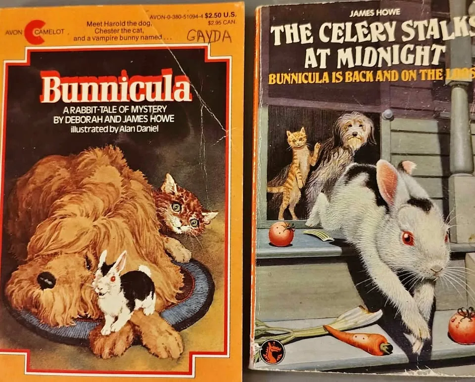 Vintage bunnicula paperbacks thumbnail