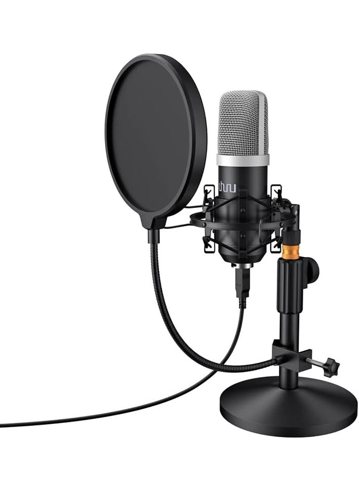 Professional USB desktop mic