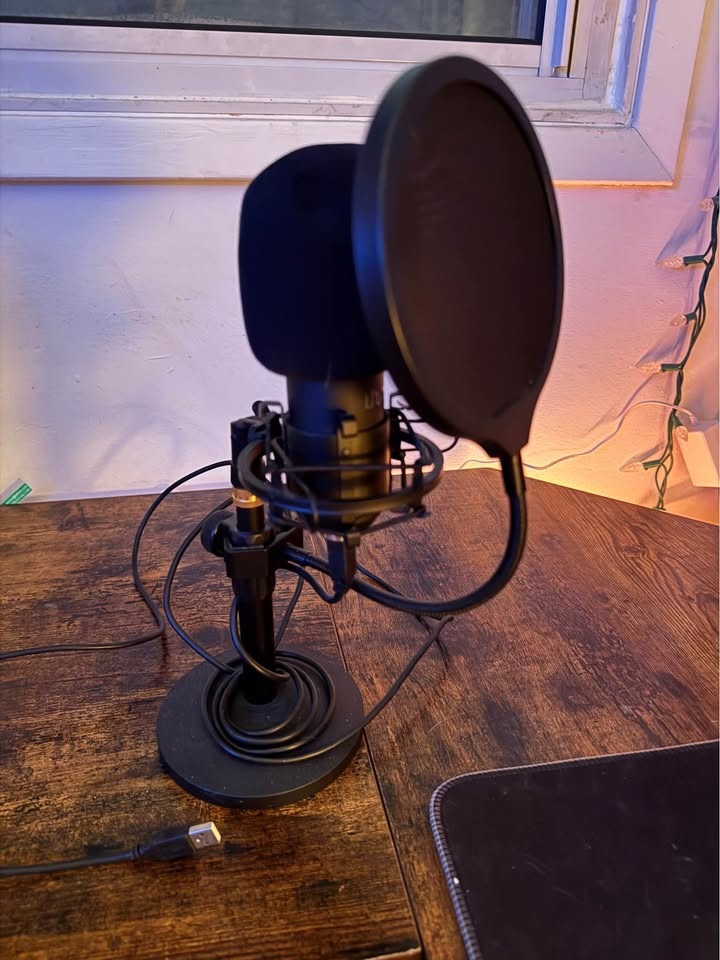 Professional USB desktop mic - photo 2