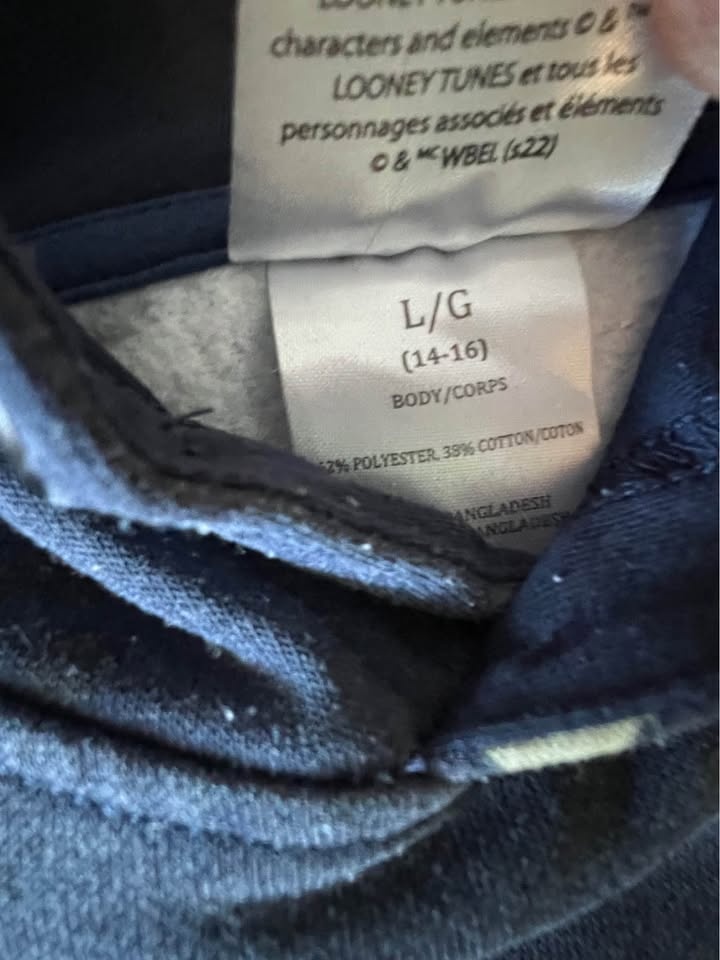 Boys Hoodie/Pant Sets - photo 3