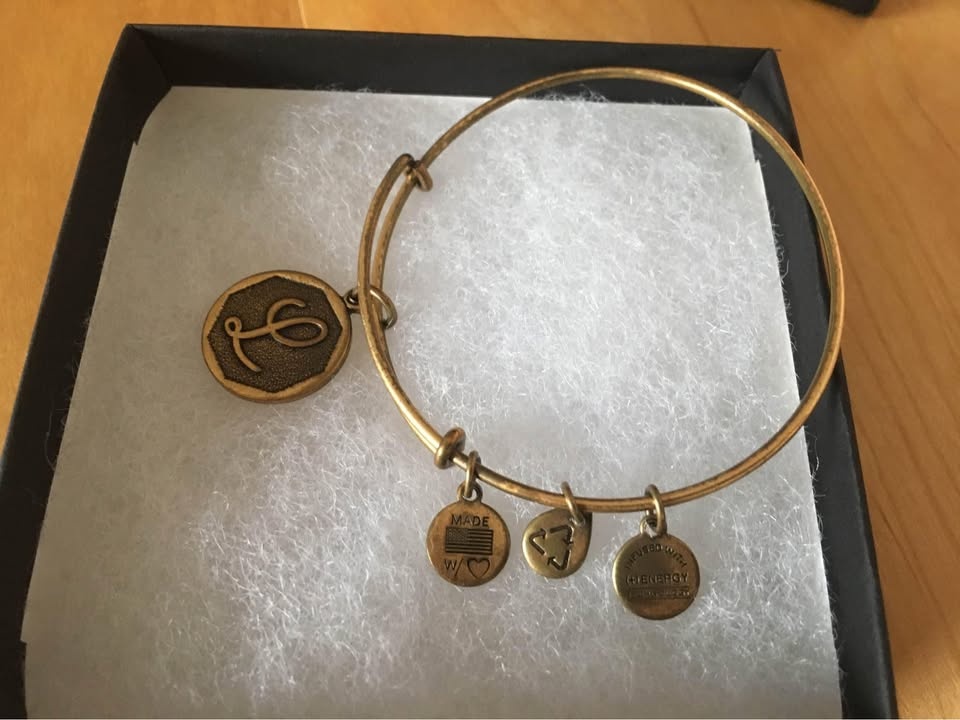 New in Box Alex and Ani L Initial Bracelet with Charms - photo 2