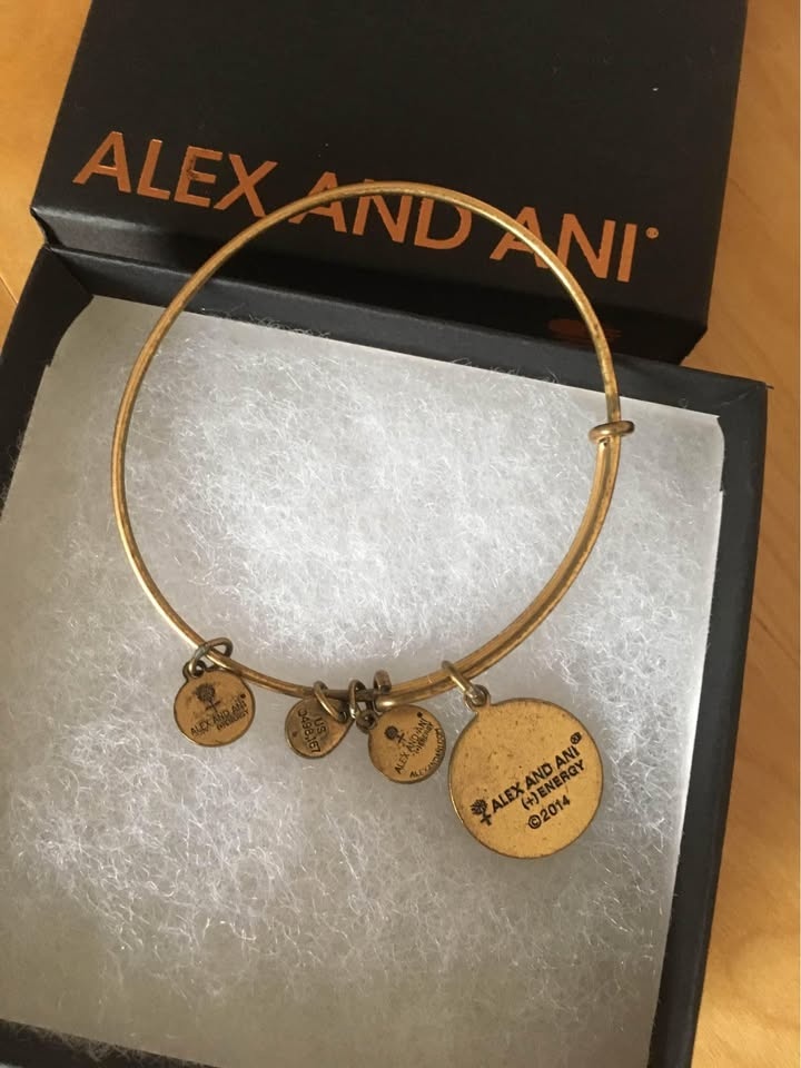 New in Box Alex and Ani L Initial Bracelet with Charms - photo 4