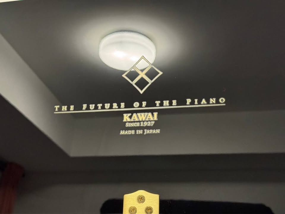 Kawai K-300 Piano (2022) - photo 4