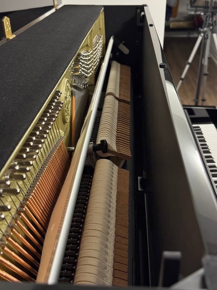 Kawai K-300 Piano (2022) - photo 5