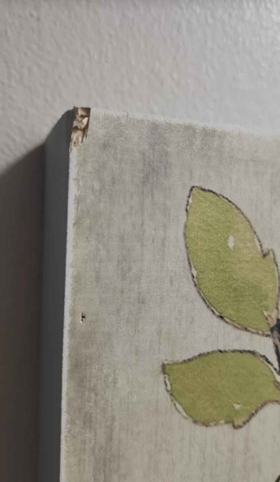 Wall Art - Friends are the Family - photo 2