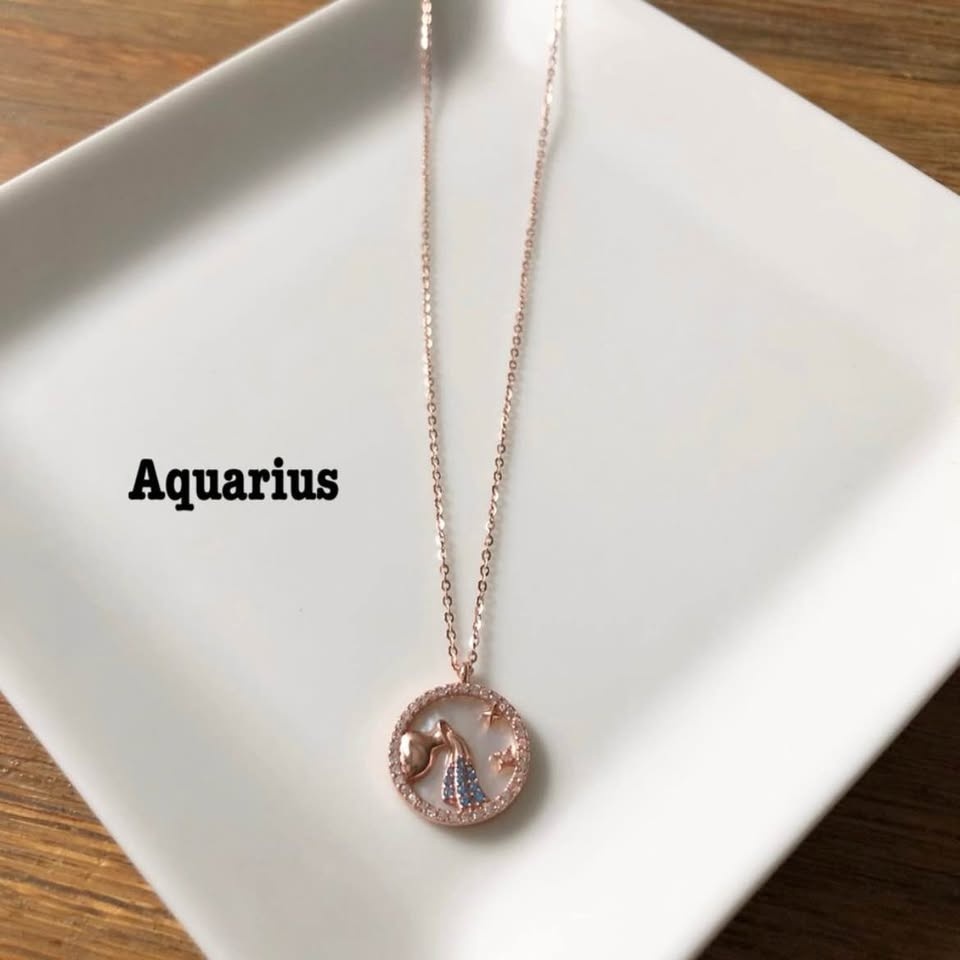S925 Rose Gold Dainty Zodiac Pendant Necklace - photo 2