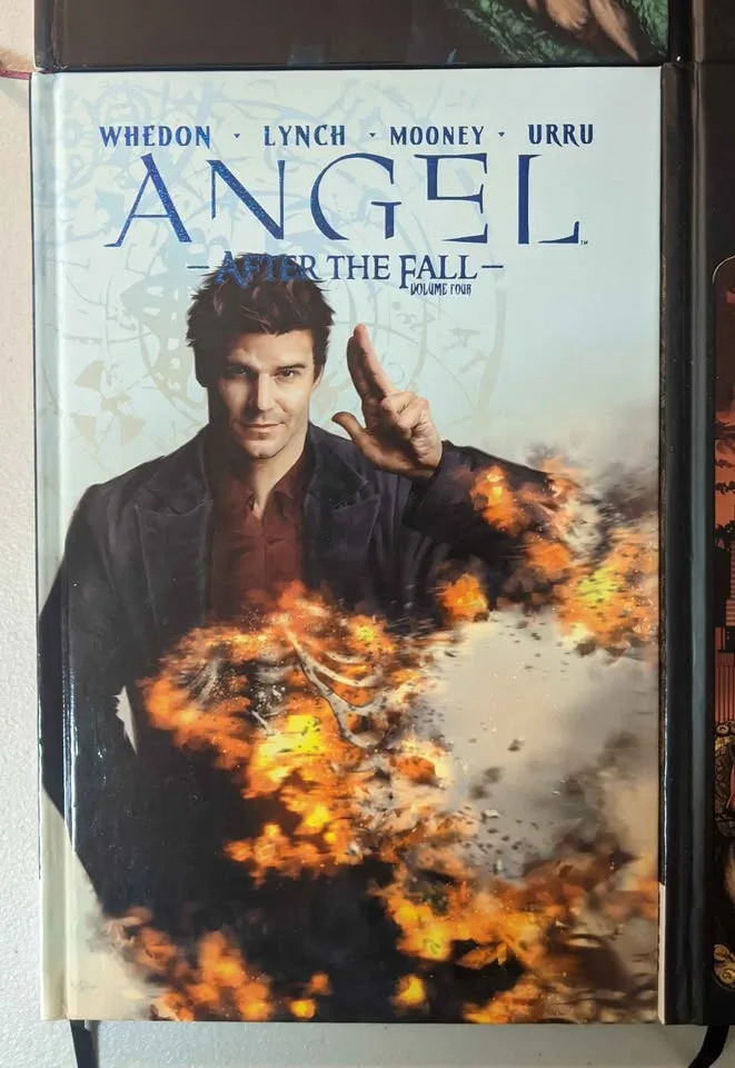 Angel: After the Fall Volumes 1-4, 6 & Spike TPBs image indicator(5)