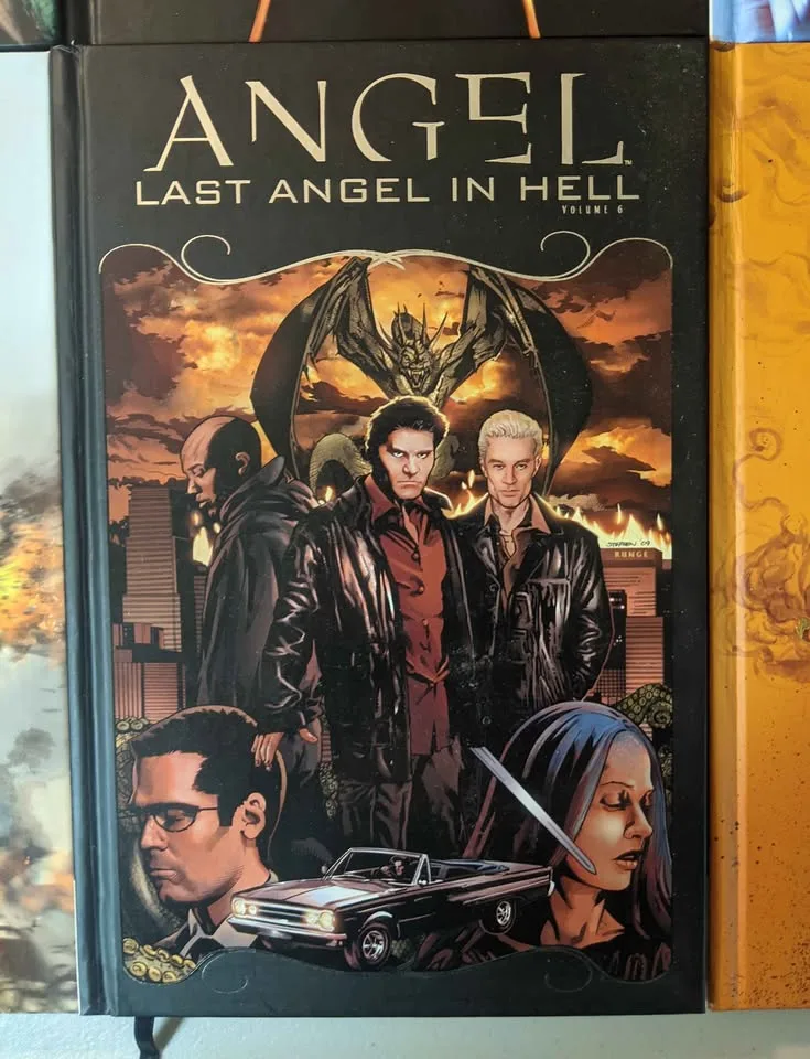 Angel: After the Fall Volumes 1-4, 6 & Spike TPBs image indicator(6)