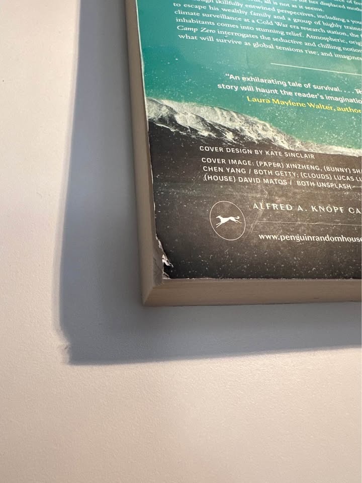 Camp Zero Book by Michele Min Sterling - photo 2