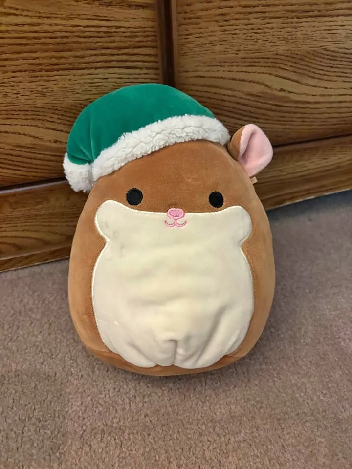 winter hamster squishmallow thumbnail