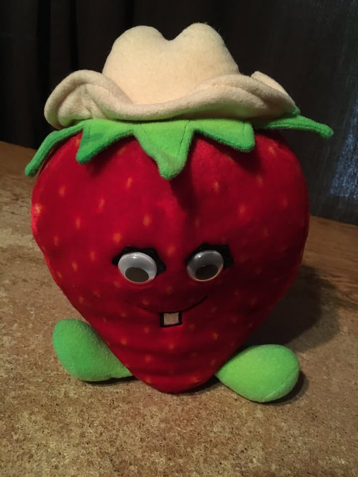 LOT OF 2 DEL MONTE YUMKINS PLUSH SCARECROW STRAWBERRY - photo 5