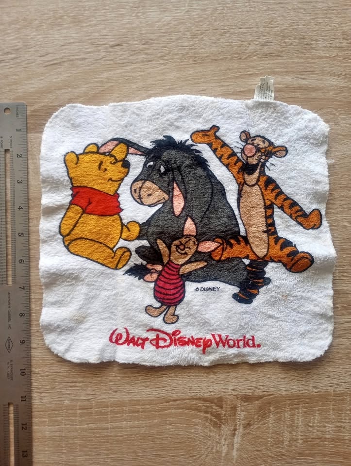 Walt Disney World Winnie the Pooh Wash Cloth / Face Cloth