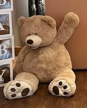 Teddy Bear - 5ft. $25 to rent. $100 to buy.