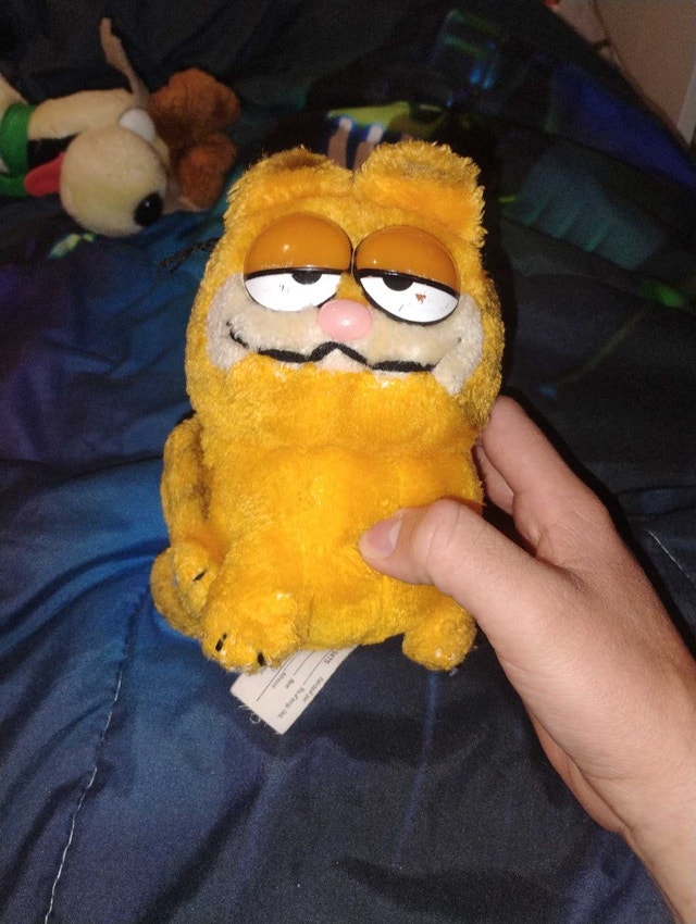 Garfield Plushies (Old) - photo 3
