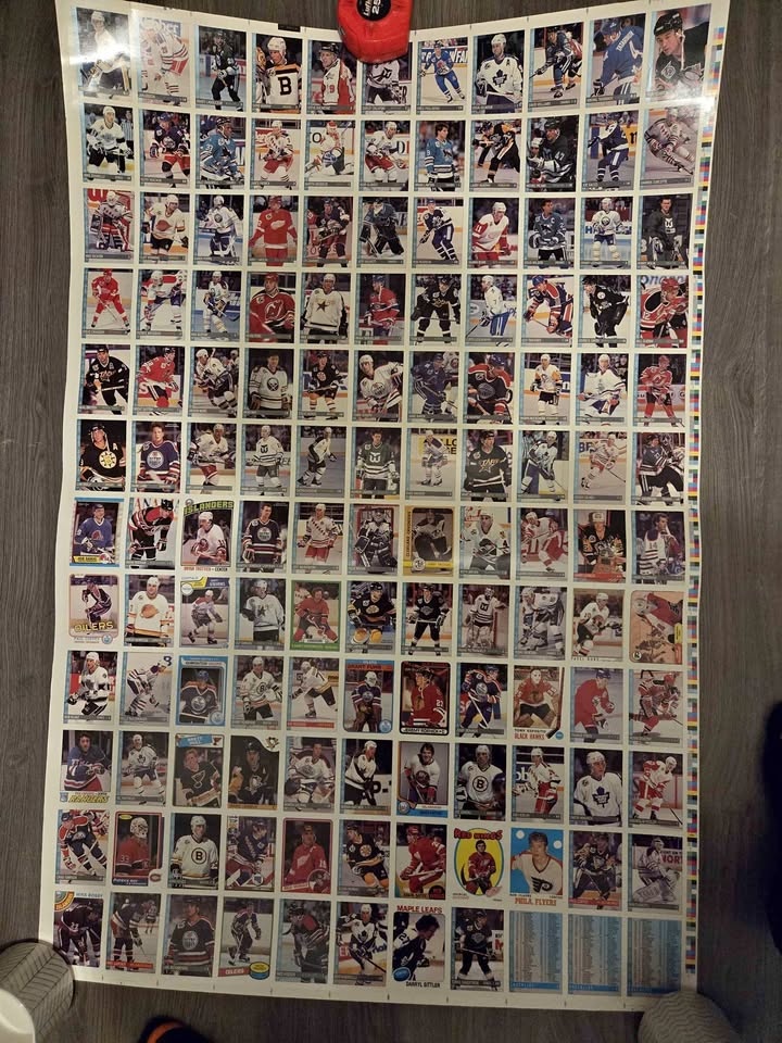 1992-93 O-Pee-Chee NHL Hockey Uncut Sheet