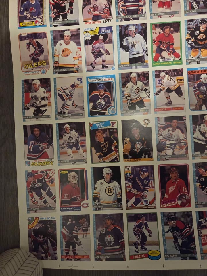 1992-93 O-Pee-Chee NHL Hockey Uncut Sheet - photo 2