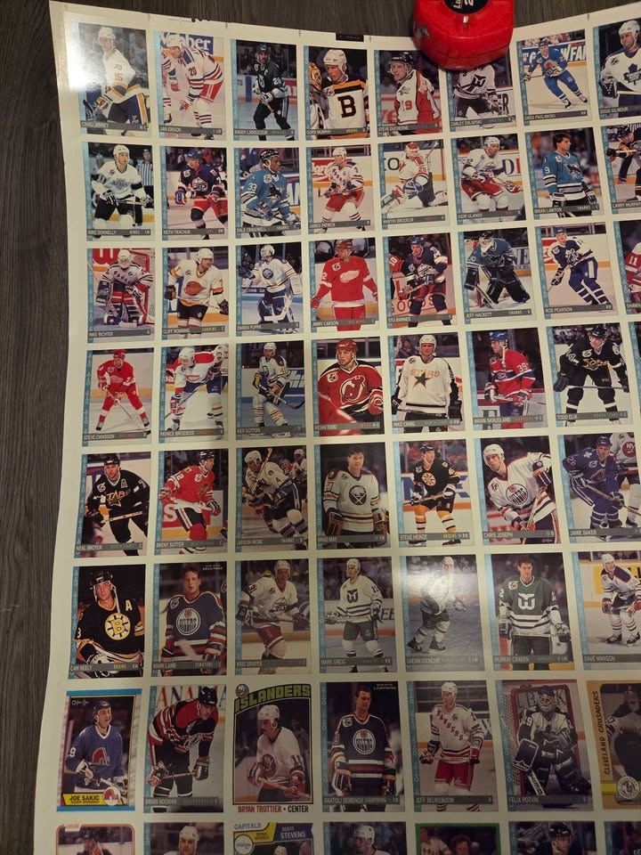 1992-93 O-Pee-Chee NHL Hockey Uncut Sheet - photo 5